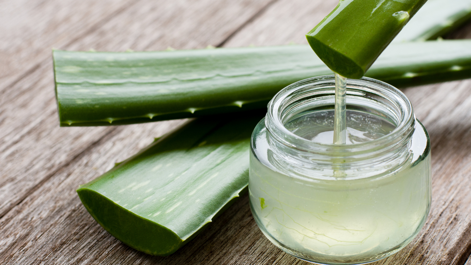 DIY Aloe Vera Treatment for Lustrous Locks